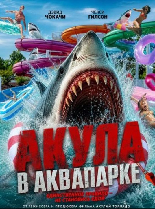 Акула в аквапарке (2026)
